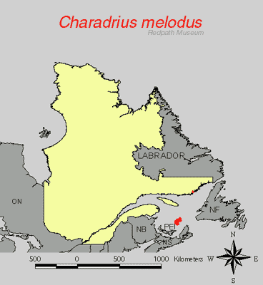 distribution.gif
