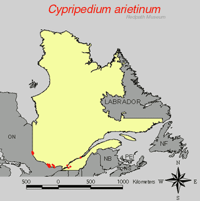 distribution map.gif