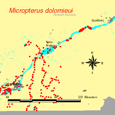 distribution map.gif