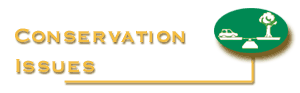 Back to Conservation