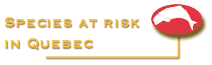 back to species at risk page